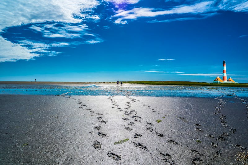 Wattwanderung Nordsee - ©animaflora – Adobe Stock