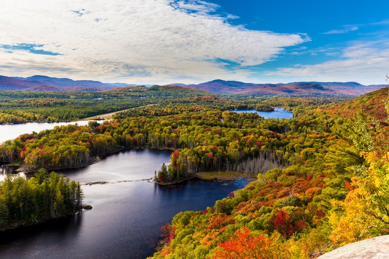 Indian Summer Quebec - ©Hummingbird Art - Adobe Stock
