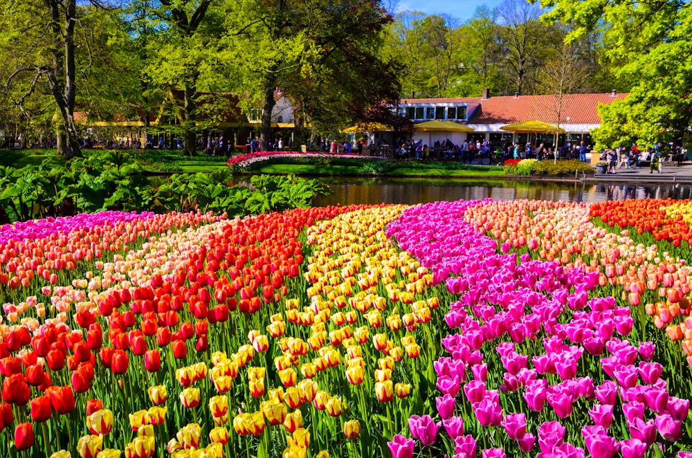 Keukenhof in Holland &ndash; &copy; olenaznakk - Adobe Stock