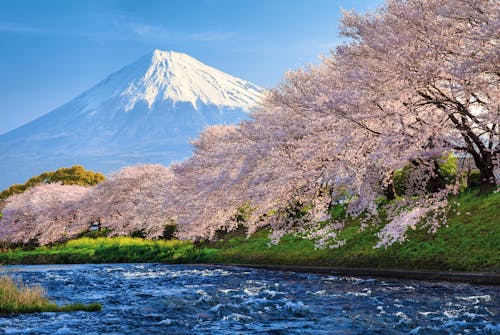 Fuji &ndash; &copy; jiratto - Fotolia