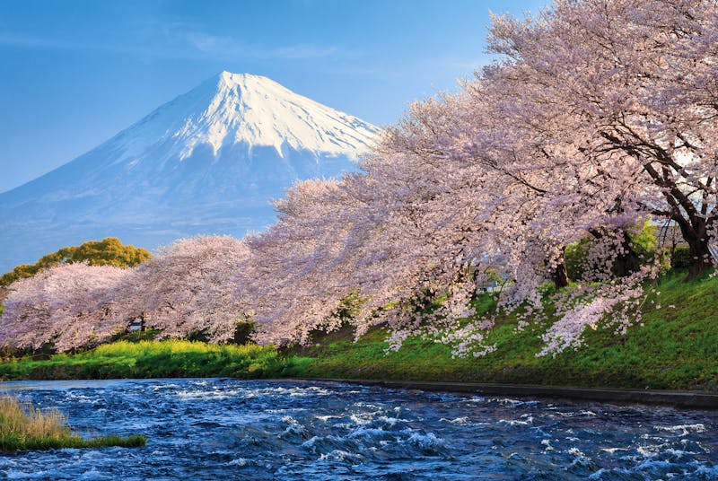 Fuji - ©jiratto - Fotolia