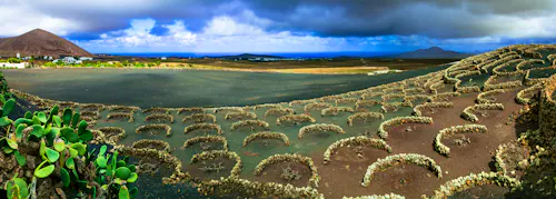 Weinanbaugebiet La Geria Lanzarote &ndash; &copy; Freesurf – Adobe Stock