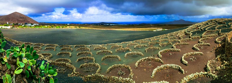 Weinanbaugebiet La Geria Lanzarote - ©Freesurf – Adobe Stock