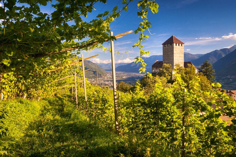 Schloss Tirol in Dorf Tirol bei Meran – © pixelshop - AdobeStock