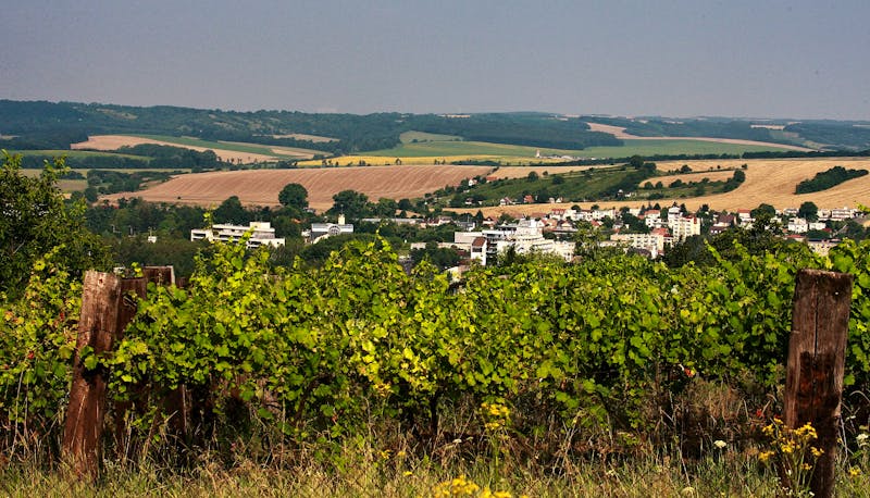 Dudince - Kurort - Weinberge – ©Hotel Smaragd - Hotel Rubin