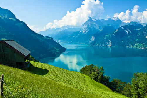 Vierwaldstättersee &ndash; &copy; M. Frick  - Adobe Stock