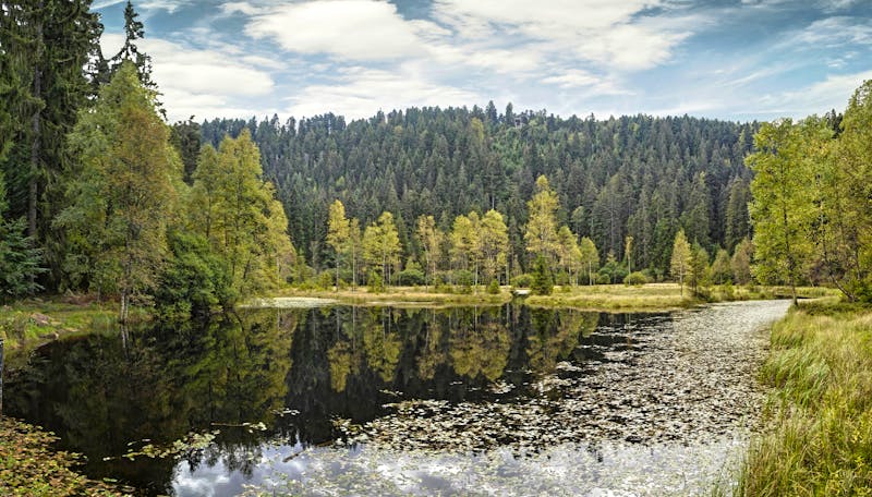 Schwarzwald-Hochstrasse_Ellbachsee - &copy;reinhard sester - stock.adobe.com