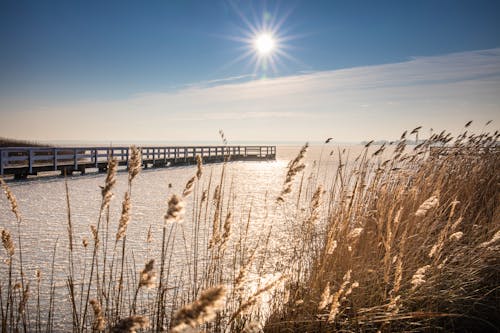 Boddenhafen Wieck – Ostsee-Insel Rügen &ndash; &copy; haiderose - Fotolia