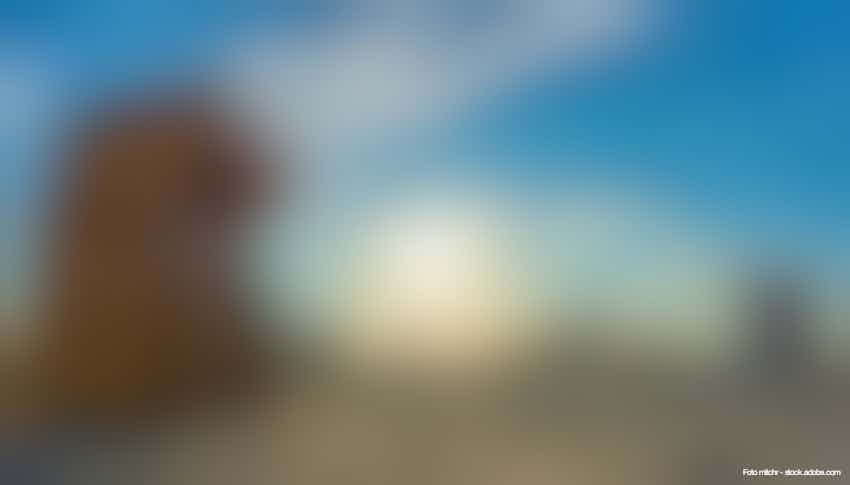 Strandkorb auf Borkum bei tief stehender Sonne – © mitchr - stock.adobe.com