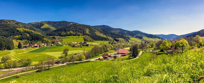 Panoramalandschaft im Gutachtal, Schwarzwald - ©©marcelheinzmann - stock.adobe.com