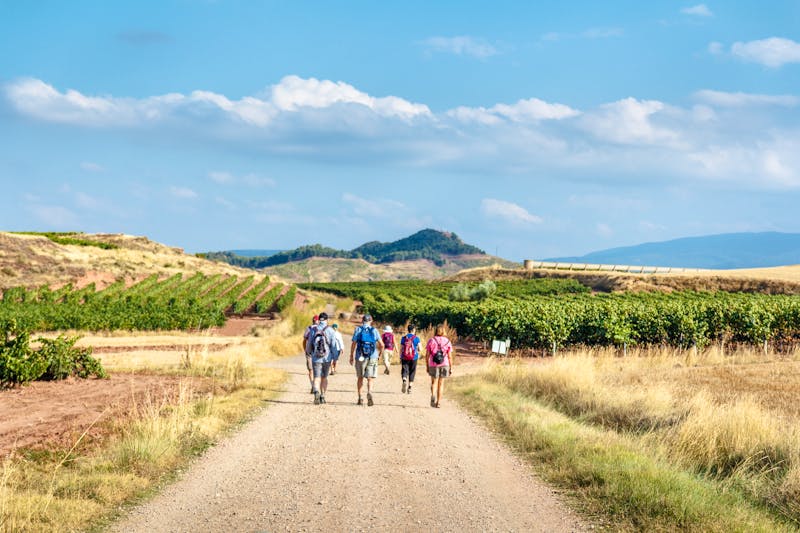 Wandern im Weingebiet La Rioja - ©jon alkain - Shutterstock