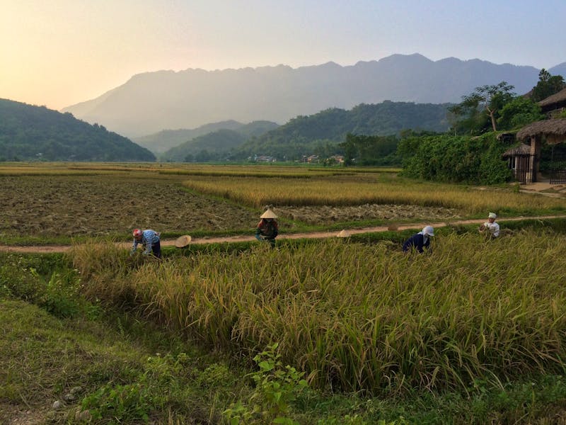 Mai Chau - ©Ngoc Anh Nguyen