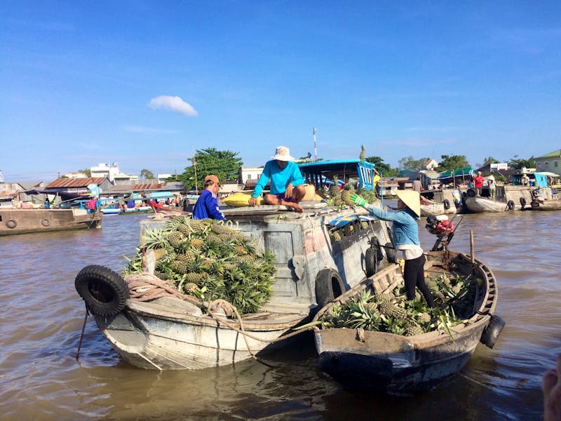 Mekong-Delta  - ©Ngoc Anh Nguyen
