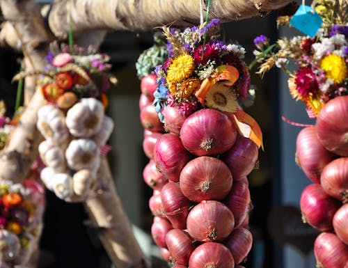 Zwiebelzopf – © ©jehafo - stock.adobe.com