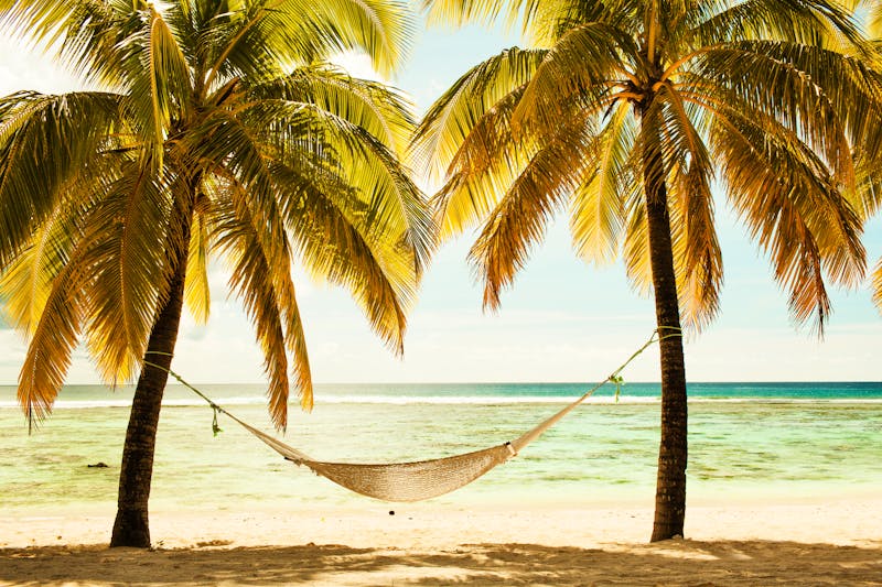 Traumstrand auf den Fidschi-Inseln - Hängematte unter Palmen - &copy;©Martin Valigursky - stock.adobe.com