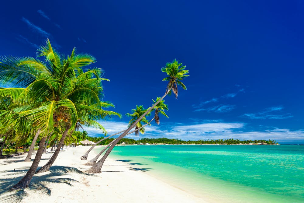 Traumstrand auf den Fidschi-Inseln &ndash; &copy; ©Martin Valigursky - stock.adobe.com