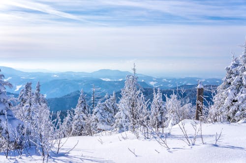 Winterlandschaft Sauerland &ndash; &copy; pure-life-pictures - stock.adobe.com