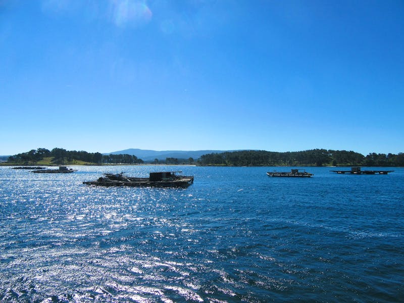 O Grove - ©Francisco Javier Burgos Gutierrez