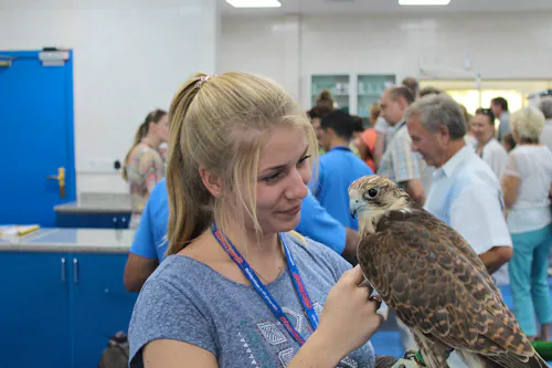 in der Falkenklinik  &ndash; &copy; Eberhardt TRAVEL