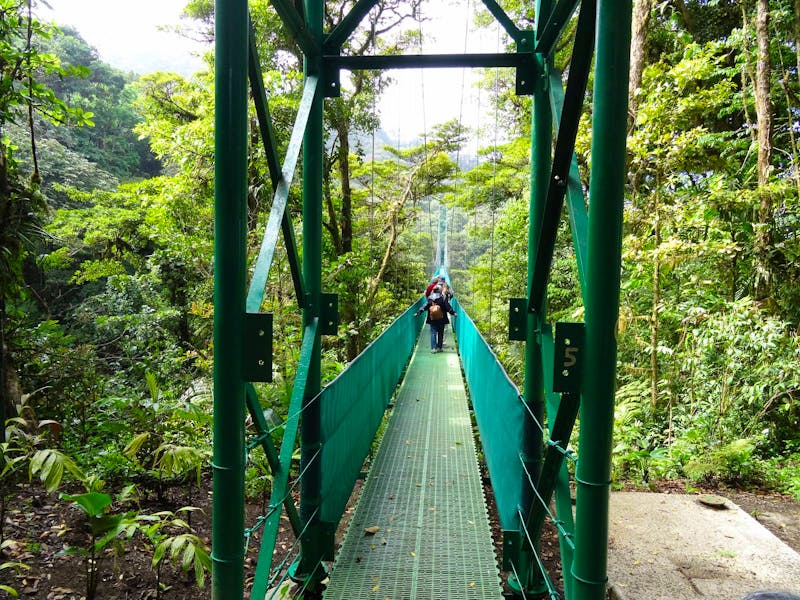 Hängebrücken-Wanderung in Monteverde - Costa Rica - ©Eberhardt TRAVEL