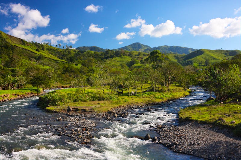 Monteverde Wald in Costa Rica - ©©timurk - stock.adobe.com
