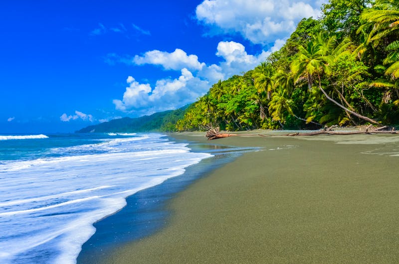 Corcovado Nationalpark auf der Halbinsel Osa - ©©Simon Dannhauer - stock.adobe.com