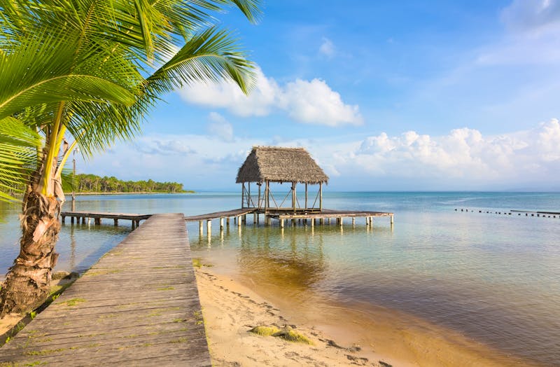 Boca del Drago Strand in Panama - ©©dmitriy_rnd - stock.adobe.com