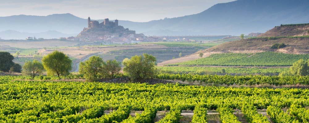 Die bekannte Weinregion la Rioja  – © ©NoraDoa - stock.adobe.com