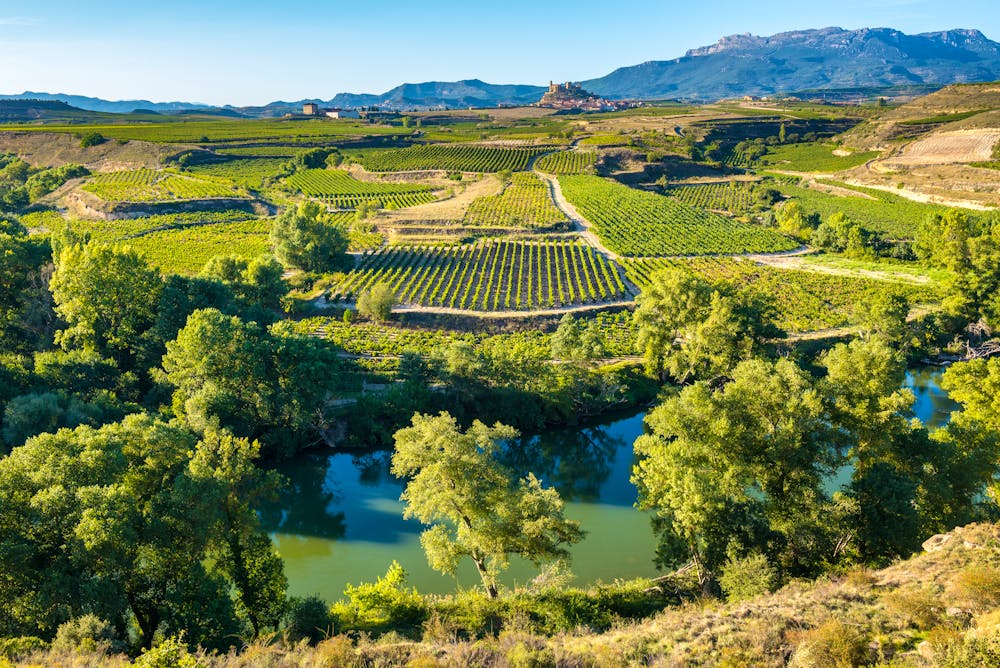 Der Blick auf die Weinregion La Rioja  &ndash; &copy; ©NoraDoa - stock.adobe.com