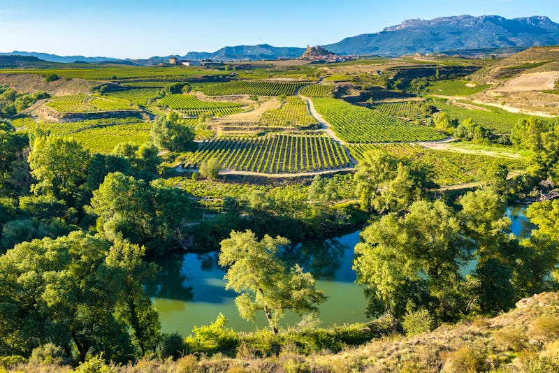 Der Blick auf die Weinregion La Rioja  - ©©NoraDoa - stock.adobe.com