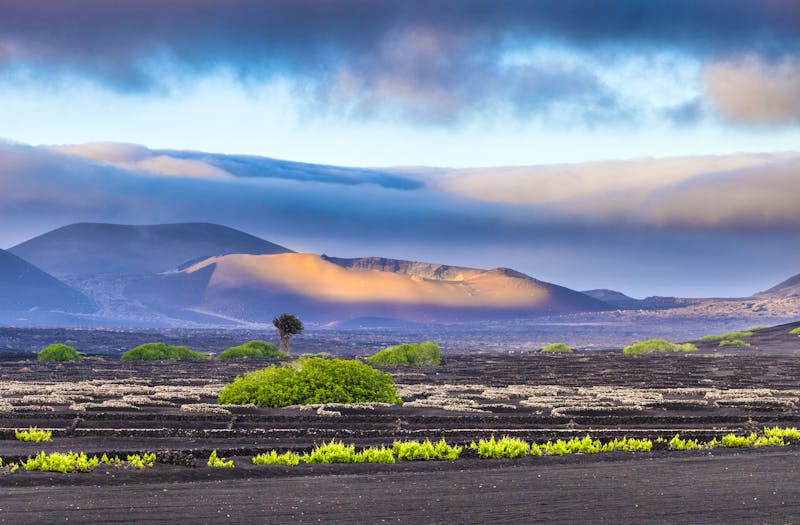 Die Vulkane im Timanfaya National Park - ©©travelview - stock.adobe.com