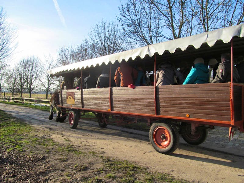 Kutschfahrt  - ©Laura Wonneberger