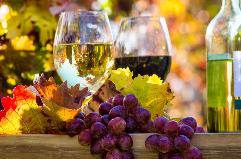Weinprobe - ©©doris oberfrank-list - stock.adobe.com