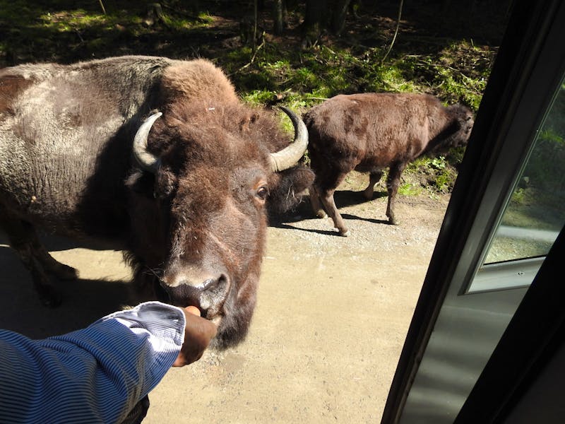 Omega Wildlife Park - ©Eberhardt TRAVEL
