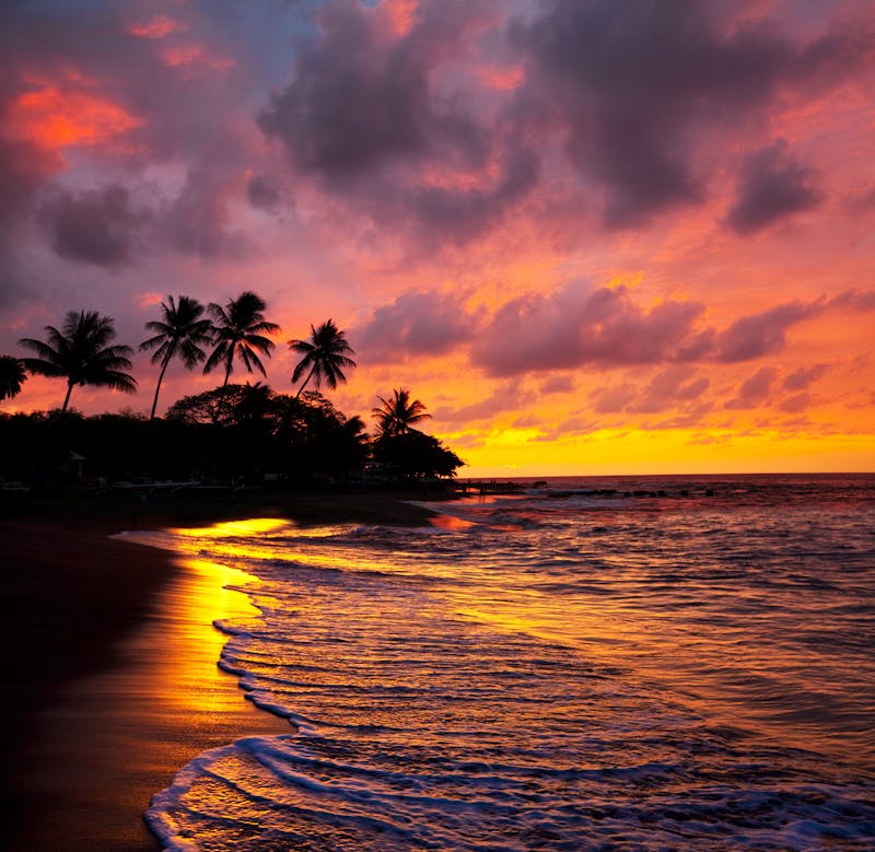 Sonnenuntergang am Strand von Maui, Hawaii - ©Galyna Andrushko - Adobe Stock