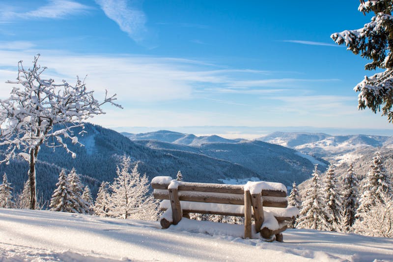Schwarzwald im Winter - ©©mafu_art - stock.adobe.com