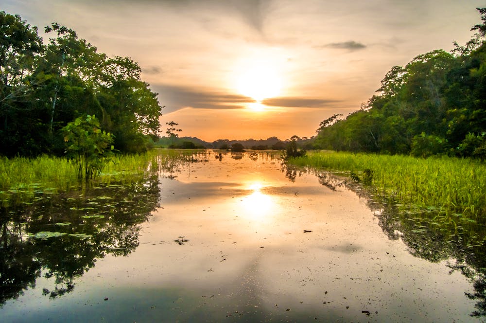 Sonnenuntergang im Amazonas-Regenwald &ndash; &copy; klublu - Adobe Stock