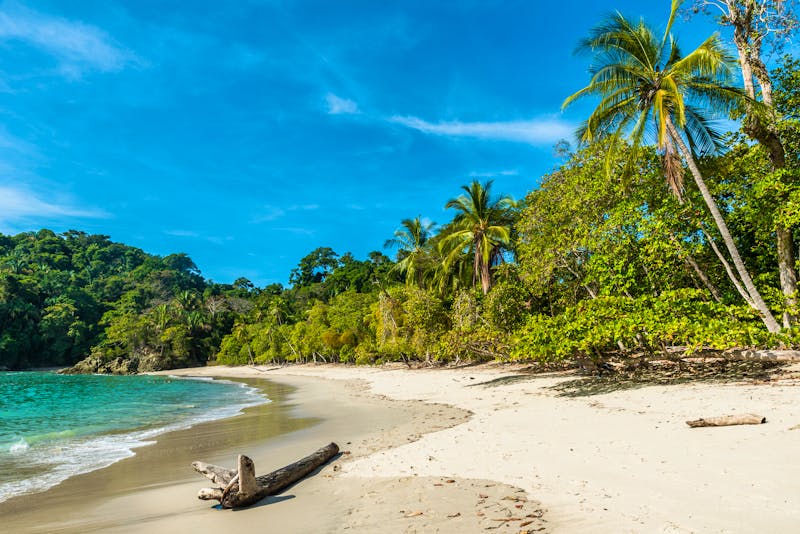 Manuel Antonio-Nationalpark, Costa Rica - ©Simon Dannhauer - Adobe Stock