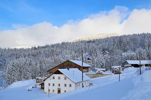 Im Bayerischen Wald  &ndash; &copy; ©PixelPower - stock.adobe.com