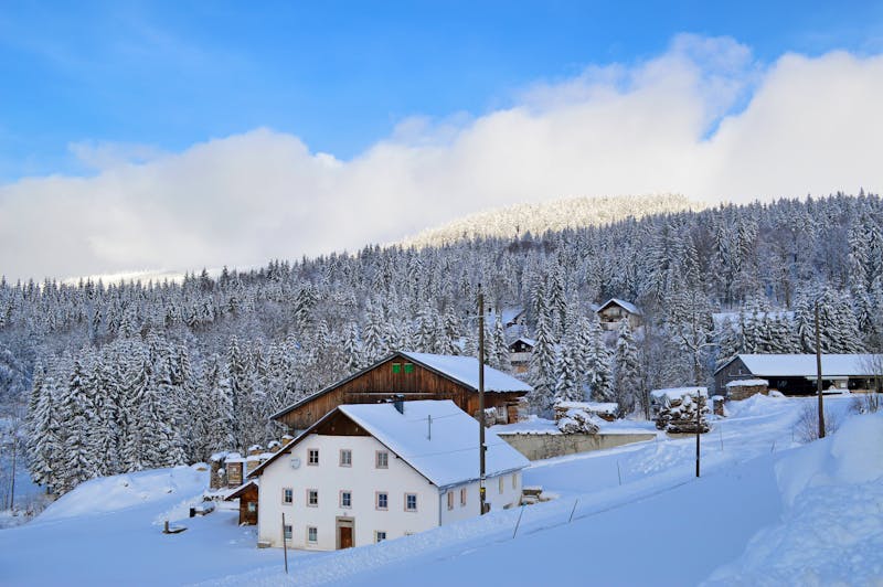 Im Bayerischen Wald  - ©©PixelPower - stock.adobe.com