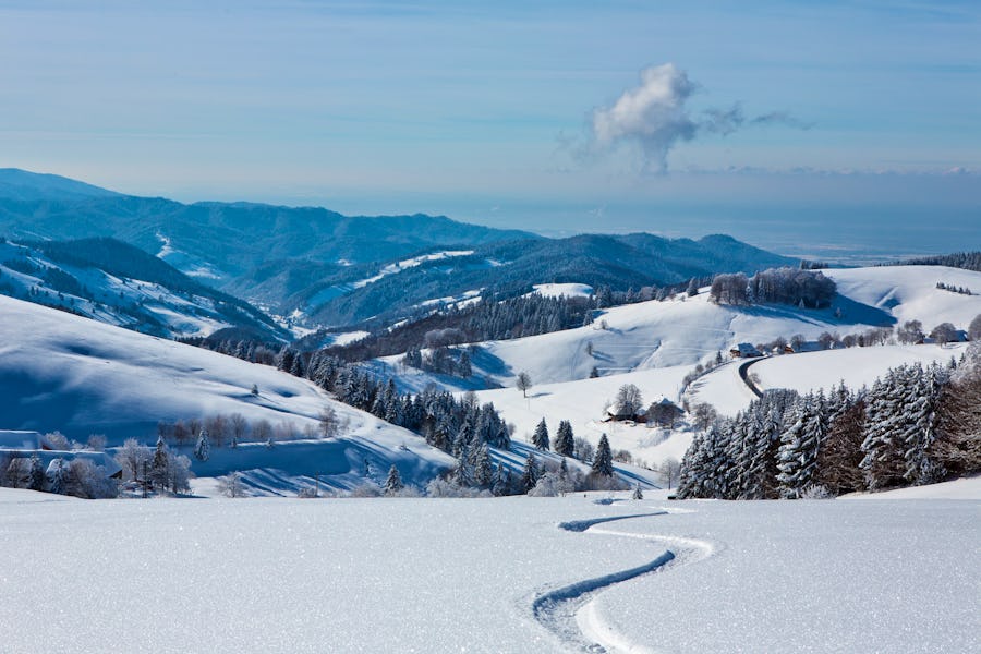 Schwarzwald im Winter – © ©Michael Zimberov - stock.adobe.com