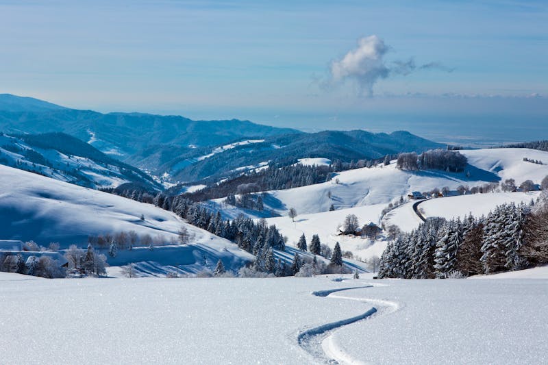 Schwarzwald im Winter - ©©Michael Zimberov - stock.adobe.com