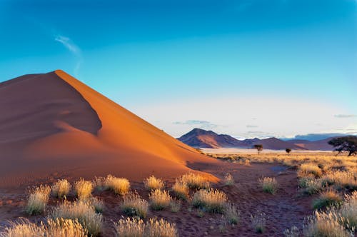 Namibwüste mit Sossusvlei &ndash; &copy; Iuliia Sokolovska - stock.adobe.com