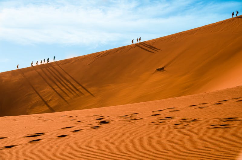 Sossusvlei, Düne Dead Vlei - ©maxthewildcat - stock.adobe.com