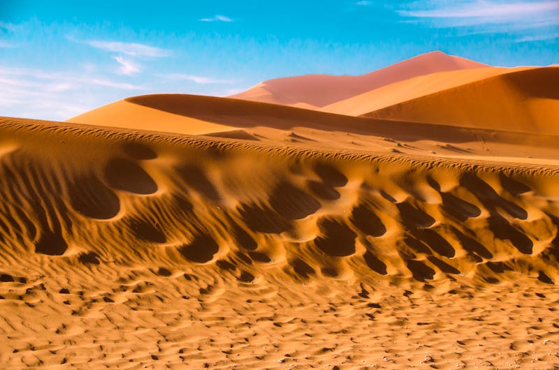 Sossusvlei, Düne Dead Vlei - ©maxthewildcat - stock.adobe.com