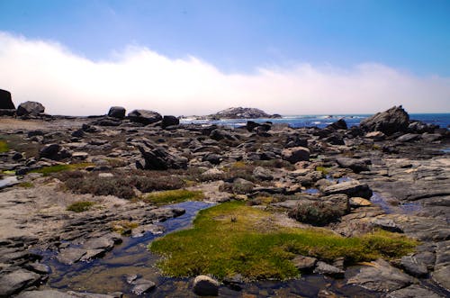 Lüderitz – Buchtenrundfahrt &ndash; &copy; Eberhardt TRAVEL