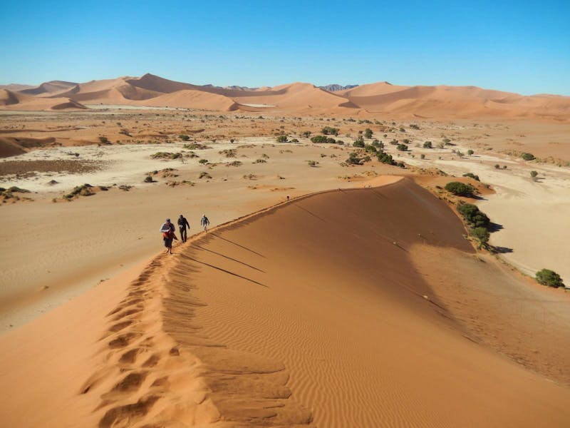 Dünenwanderung auf Big Mama im Sossusvlei - ©Eberhardt TRAVEL