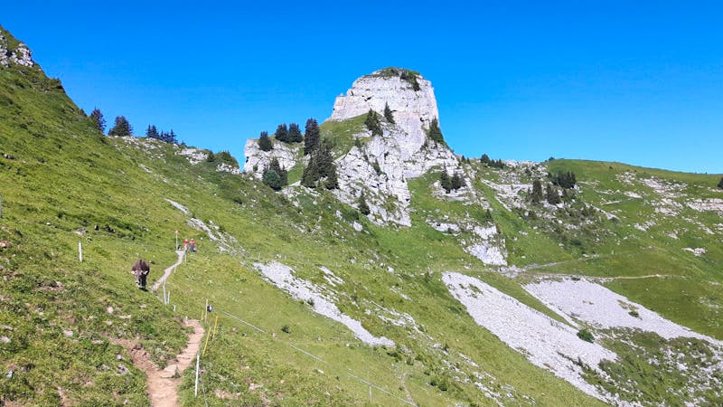 Schynige Platte - ©Katrin Deutschbein