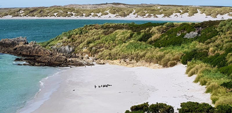 Falkland Inseln - Fahrt zur Gipsy Cove - ©Jacob Spangenberg