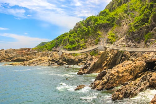 Hängebrücke im Tsitsikamma Nationalpark &ndash; &copy; bennymarty - stock.adobe.com